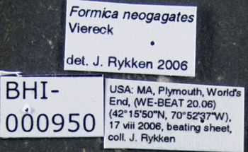 Media type: image;   Entomology 615245 Aspect: labels